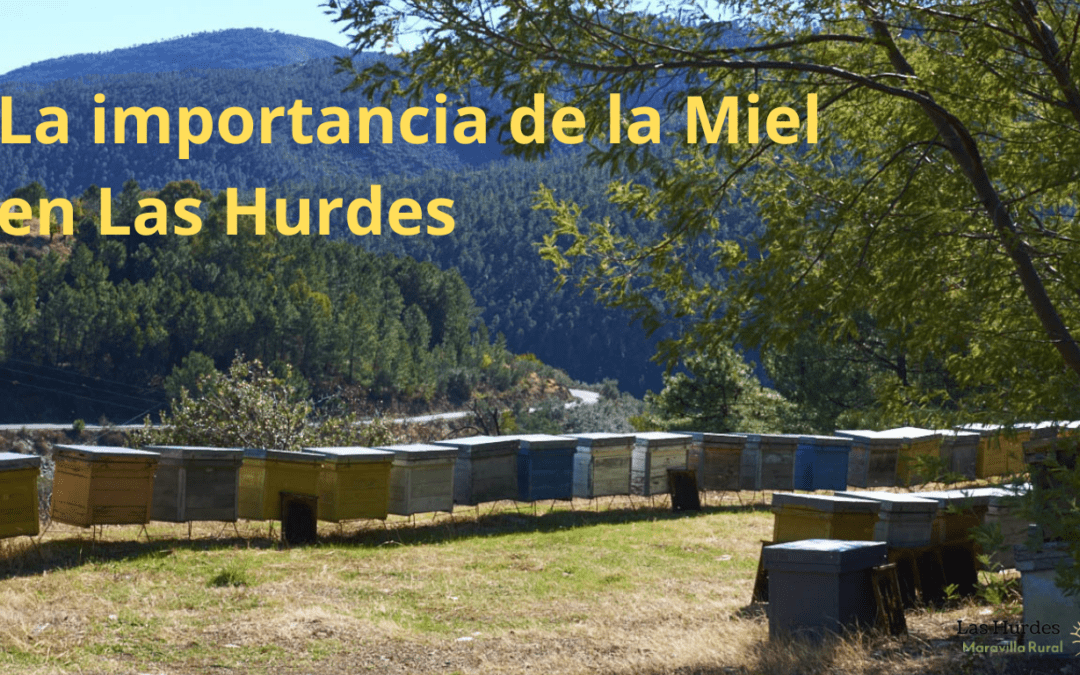¿Por qué es importante la miel en las Hurdes?