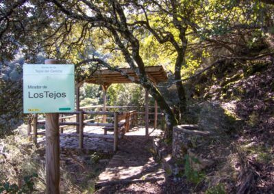 mirador de los tejos unico