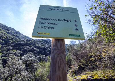 senda de los Tejos del Cerezal ubicaciones