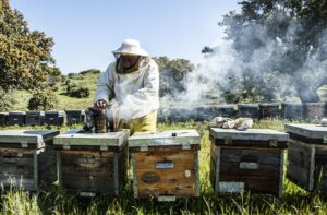 el tio picho Las Hurdes