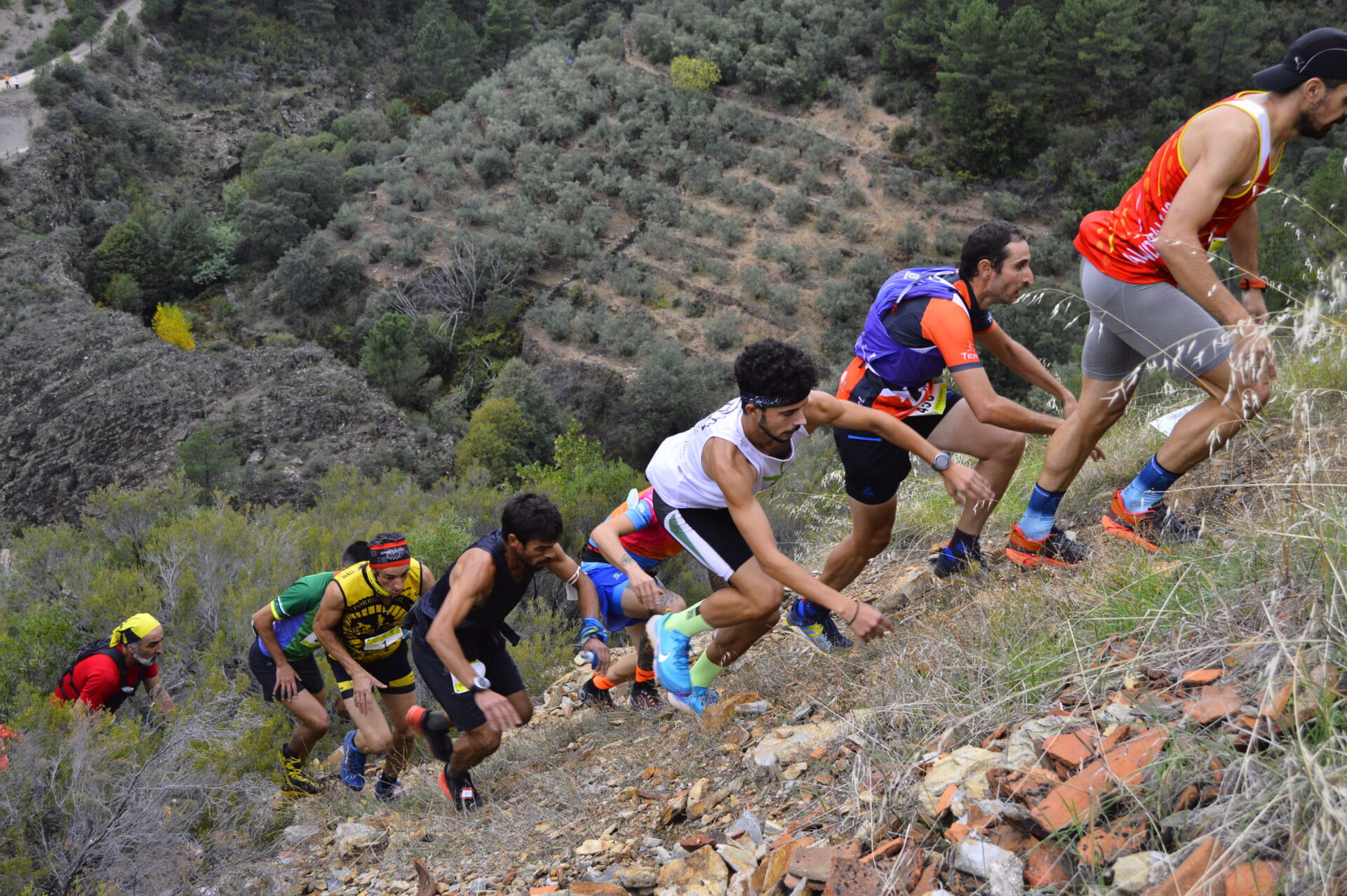 cumbres hurdanas trail