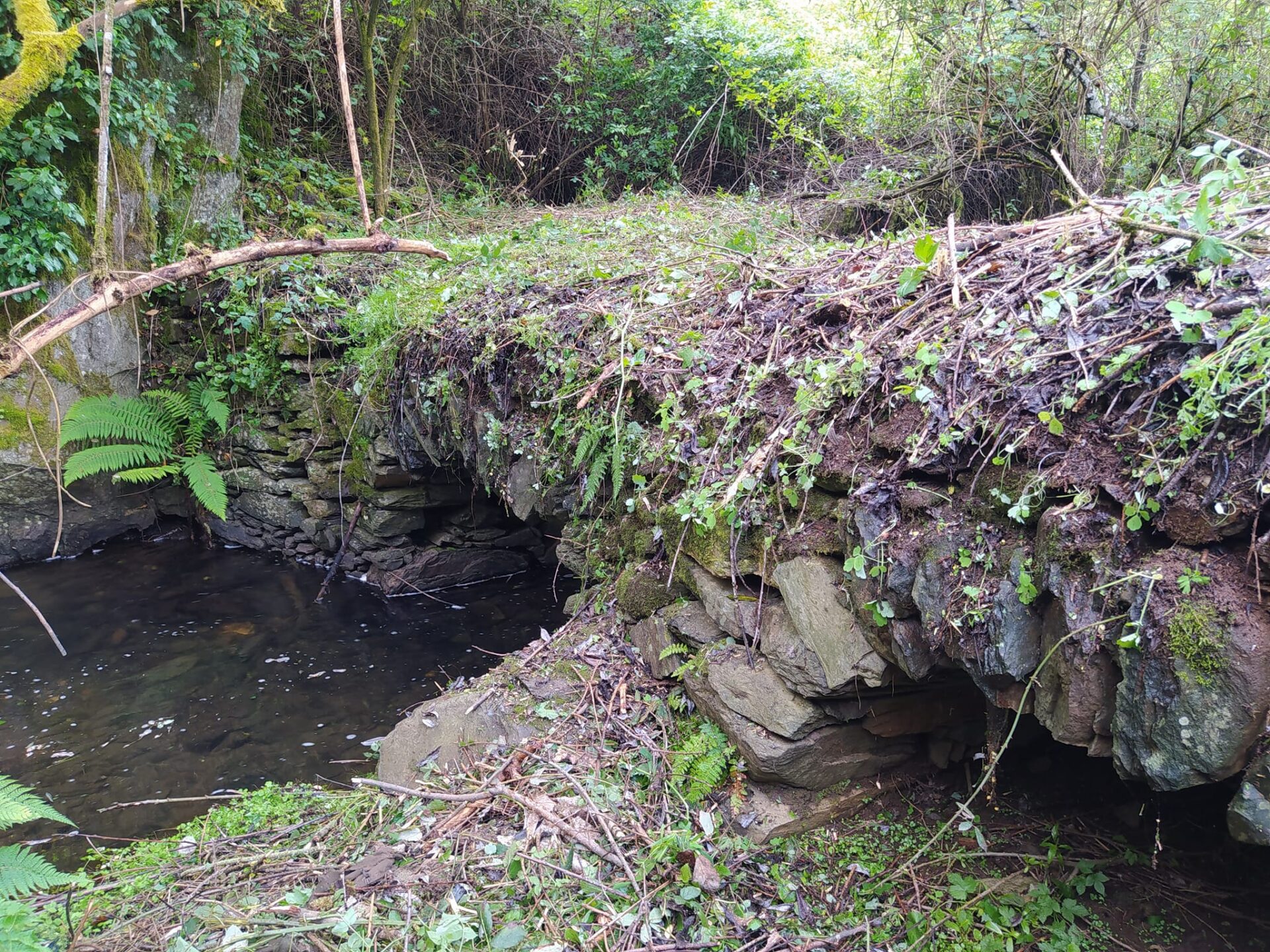 XXI matanza hurdana casar de palomero