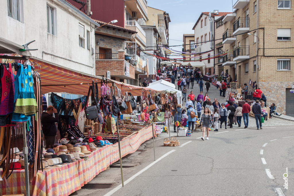 mercado artesania 2024 caminomorisco